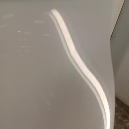 Porte avant gauche RENAULT CLIO 3
