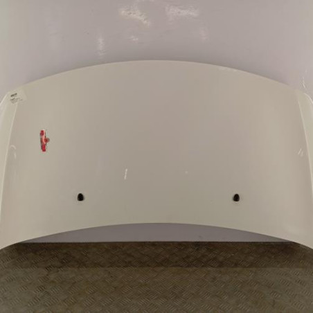 Capot CITROEN C3 2 Photo n°1