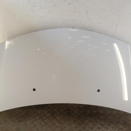 Capot RENAULT CLIO 3 Photo n°1