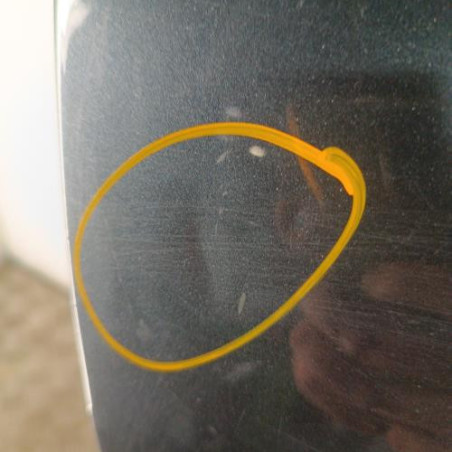 Porte avant droit RENAULT SCENIC 3