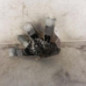 Moteur essuie glace arriere PEUGEOT 308 2 SW