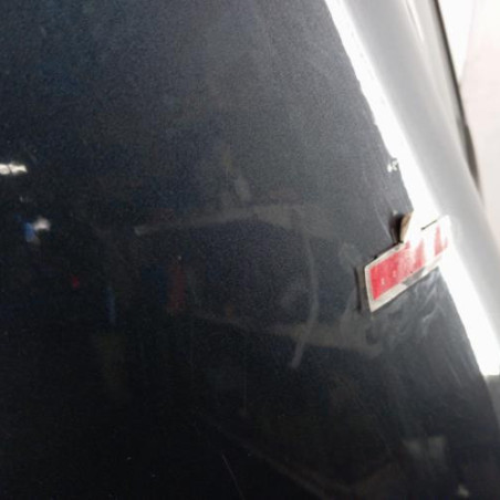 Porte arriere gauche RENAULT CLIO 4