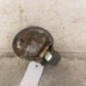 Trappe d'essence OPEL MERIVA A