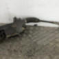 Cremaillere assistee VOLKSWAGEN TOURAN 2