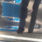 Porte arriere gauche VOLKSWAGEN TOUAREG 2