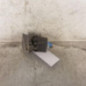 Poignee electrique frein a main RENAULT SCENIC 2