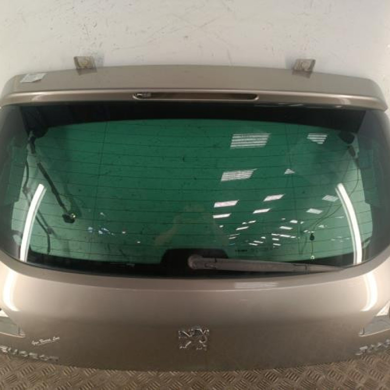 Malle/Hayon arriere PEUGEOT 3008 1