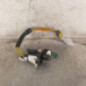 Neiman RENAULT SCENIC 1