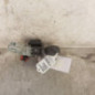 Neiman RENAULT CLIO 3