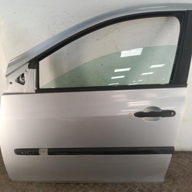 Porte avant gauche RENAULT CLIO 3