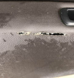 Porte arriere gauche RENAULT GRAND SCENIC 3 Photo n°6