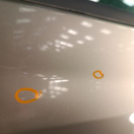 Porte avant droit RENAULT CLIO 3