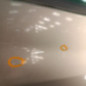 Porte avant droit RENAULT CLIO 3