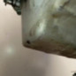 Moteur AUDI A3 2
