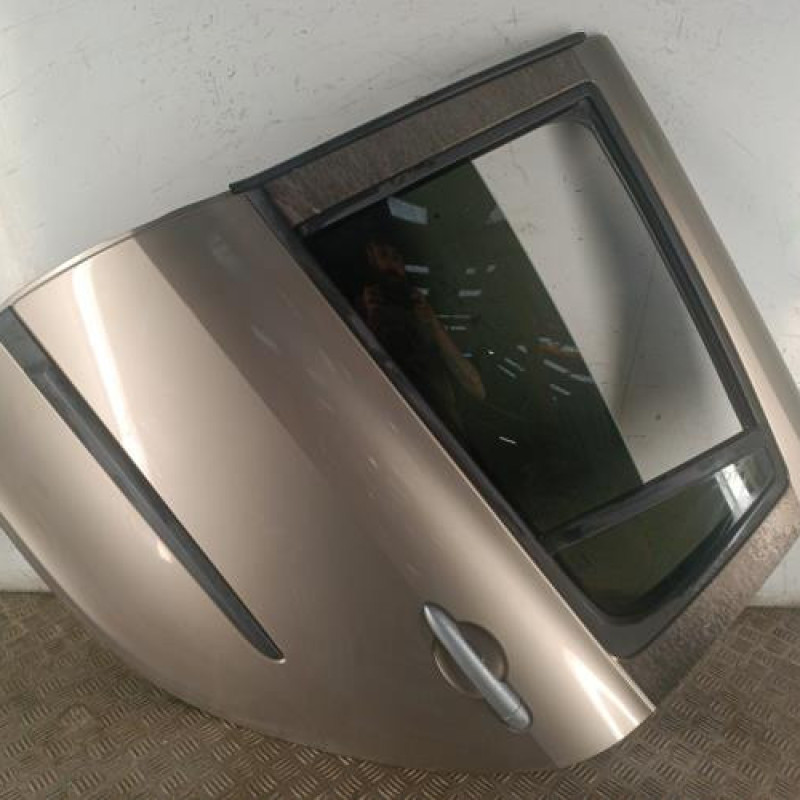 Porte arriere gauche RENAULT CLIO 3