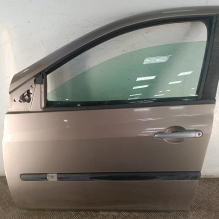 Porte avant gauche RENAULT CLIO 3 Photo n°1