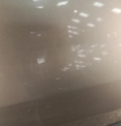 Porte avant gauche RENAULT CLIO 3