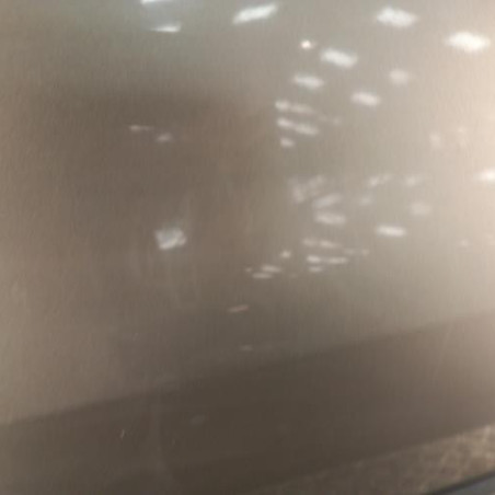 Porte avant gauche RENAULT CLIO 3