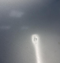Capot PEUGEOT 206