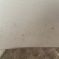 Pare choc arriere CITROEN C4 GRAND PICASSO 1