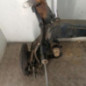 Train arriere complet PEUGEOT 308 2