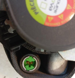 Ceinture avant droit FORD C-MAX 2 Photo n°3