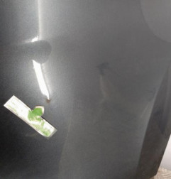 Pare choc arriere RENAULT CLIO 4