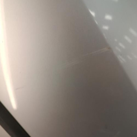 Porte arriere gauche RENAULT CLIO 3