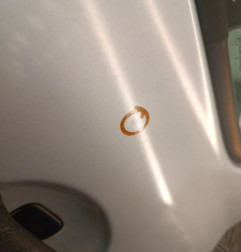 Porte arriere gauche RENAULT CLIO 3 Photo n°3