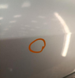 Porte avant droit RENAULT CLIO 3