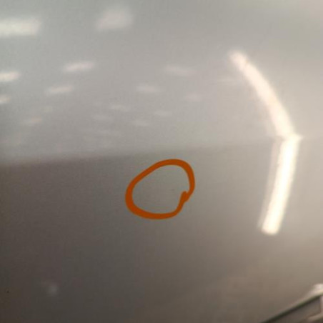 Porte avant droit RENAULT CLIO 3