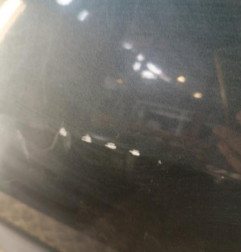 Porte avant gauche DACIA LOGAN MCV 1 Photo n°4