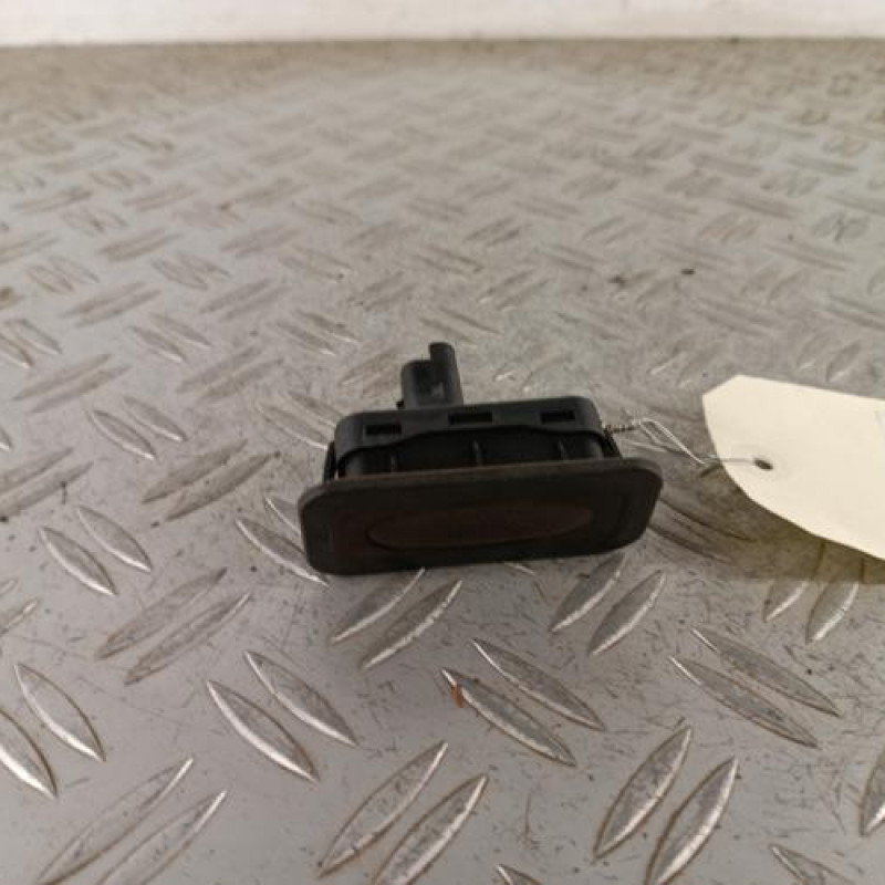 Poignee hayon RENAULT SCENIC 2 Poignee hayon RENAULT SCENIC 2
