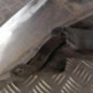 Optique avant principal droit (feux)(phare) TOYOTA YARIS 3