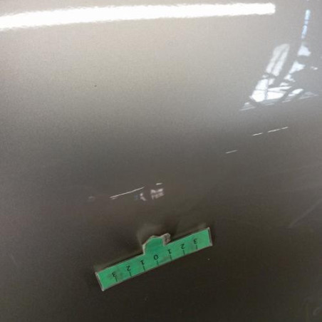 Porte arriere gauche RENAULT CAPTUR 1