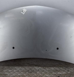 Capot RENAULT CLIO 3 Photo n°1