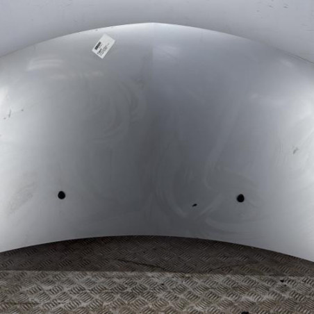 Capot RENAULT CLIO 3 Photo n°1