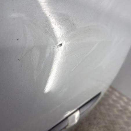 Porte avant droit RENAULT CLIO 3