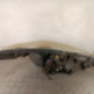 Optique avant principal gauche (feux)(phare) PEUGEOT 207