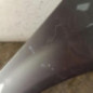 Aile avant droit RENAULT SCENIC 2