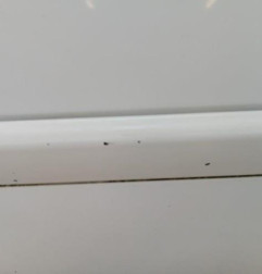 Porte avant gauche RENAULT CLIO 3 Photo n°3