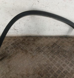 Extension d'aile arriere gauche VOLKSWAGEN TIGUAN 1 Photo n°1