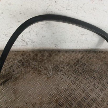 Extension d'aile arriere gauche VOLKSWAGEN TIGUAN 1 Photo n°1