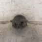 Anti brouillard droit (feux) CITROEN XSARA PICASSO