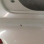 Pare choc arriere NISSAN JUKE 1