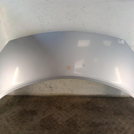 Capot RENAULT SCENIC 2 Photo n°1