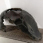 Pare boue avant droit RENAULT GRAND SCENIC 2