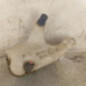 Vase de lave glace FIAT PUNTO 2
