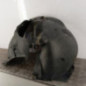 Pare boue avant gauche RENAULT CLIO 3