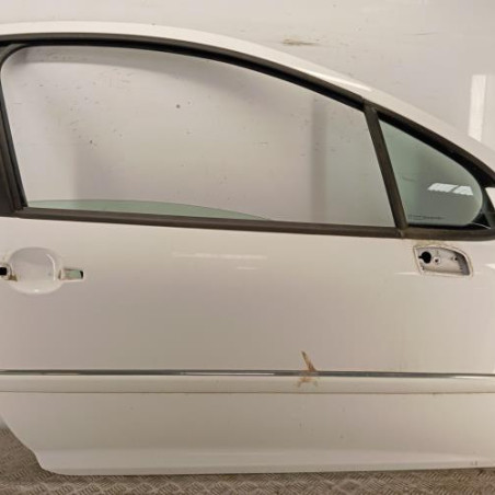 Porte avant droit PEUGEOT 207 Photo n°1